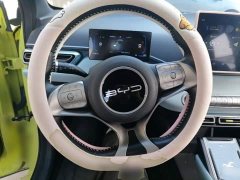 BYD Seagull 2023 Freedom Edition - ფოტო 11
