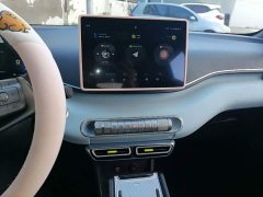 BYD Seagull 2023 Freedom Edition - ფოტო 13