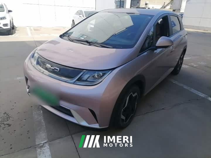 BYD Dolphin 405km Fashion Edition - ავტომობილი ჩინეთიდან