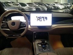 BYD Tang New Energy DM-i 115KM Premium Edition - ფოტო 10