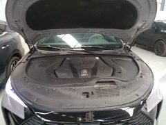 BYD Tang New Energy DM-i 115KM Premium Edition - ფოტო 20