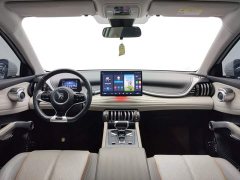 BYD Yuan Plus Champion Edition 430KM Leading - ფოტო 13