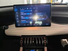 BYD Yuan Plus Champion Edition 430KM Leading - ფოტო 5