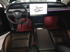 Tesla Model Y Rear-Wheel Drive - ფოტო 10