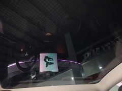 Tesla Model Y Rear-Wheel Drive - ფოტო 18