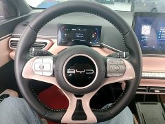 BYD Seagull Freedom Edition - ფოტო 11