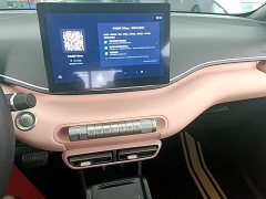 BYD Seagull Freedom Edition - ფოტო 13