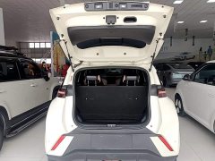 BYD Seagull Freedom Edition - ფოტო 19