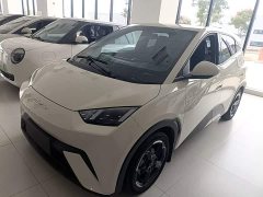 BYD Seagull Freedom Edition - ფოტო 2