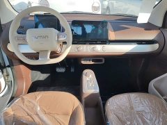 Changan Lumin Treasure Edition 205km Cool Love White CATL - ფოტო 10