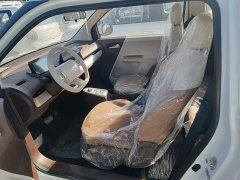 Changan Lumin Treasure Edition 205km Cool Love White CATL - ფოტო 15