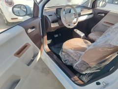 Changan Lumin Treasure Edition 205km Cool Love White CATL - ფოტო 16