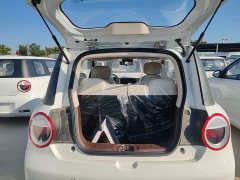 Changan Lumin Treasure Edition 205km Cool Love White CATL - ფოტო 19