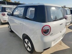 Changan Lumin Treasure Edition 205km Cool Love White CATL - ფოტო 5