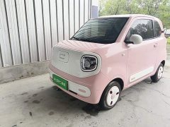 FAW Besturn Xiaoma 222km Dynamic Edition - ფოტო 1