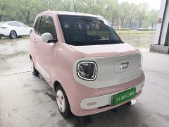 FAW Besturn Xiaoma 222km Dynamic Edition - ფოტო 4