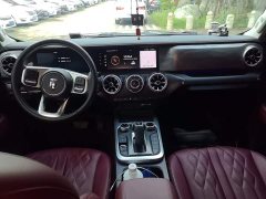 Tank 300 2.0T Challenger - ფოტო 10
