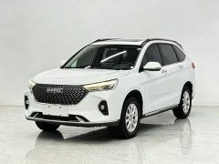 Haval M6 PLUS 1.5T Manual Luxury Smart Connected Edition - ფოტო 1