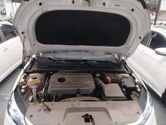Geely Binrui 1.4T CVT Asian Games Edition - ფოტო 20