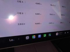 Xiaomi SU7 2024 Rear-Wheel Drive Long Range Smart Driving Edition - ფოტო 8