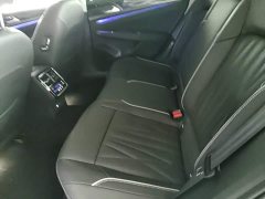 Volkswagen Passat 330TSI Starry Sky Luxury Edition - ფოტო 13