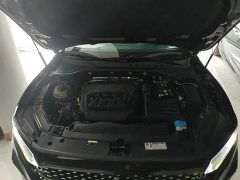 Volkswagen Passat 330TSI Starry Sky Luxury Edition - ფოტო 16