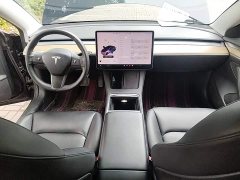 Tesla Model 3 Standard Range RWD Upgrade - ფოტო 10