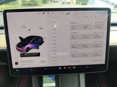 Tesla Model 3 Standard Range RWD Upgrade - ფოტო 12