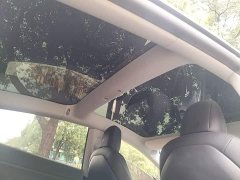 Tesla Model 3 Standard Range RWD Upgrade - ფოტო 18