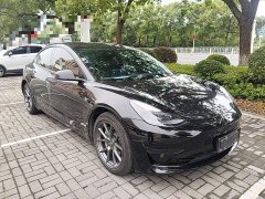 Tesla Model 3 Standard Range RWD Upgrade - ფოტო 4