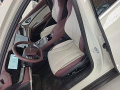 BYD Dolphin 07 DM-i 2026 DM-i 1.5T 230km Flagship - ფოტო 15
