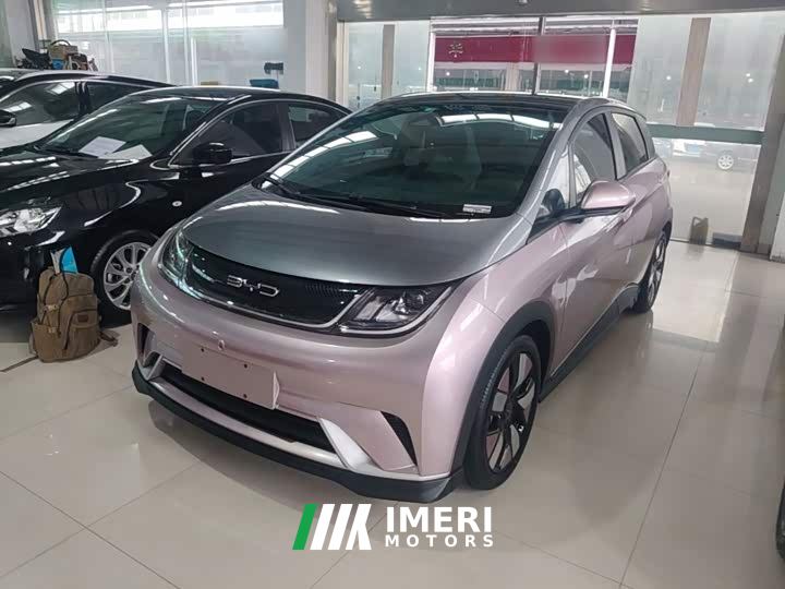 BYD Dolphin 401km Knight Edition