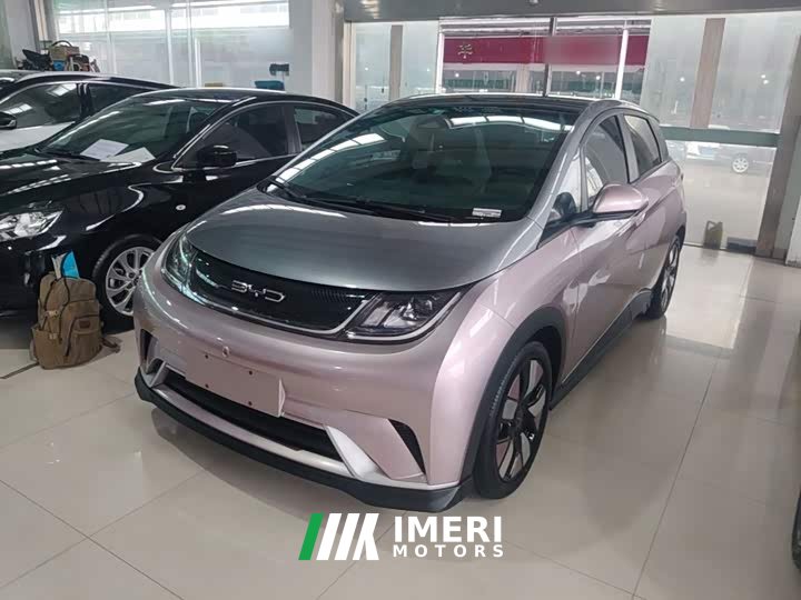 BYD Dolphin 401km Knight Edition - ავტომობილი ჩინეთიდან