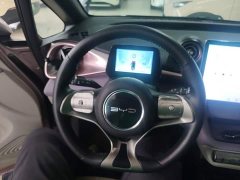 BYD Dolphin 401km Knight Edition - ფოტო 11