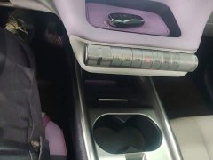BYD Dolphin 401km Knight Edition - ფოტო 14