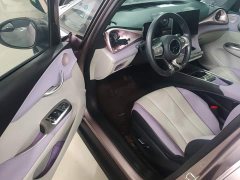 BYD Dolphin 401km Knight Edition - ფოტო 16