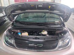 BYD Dolphin 401km Knight Edition - ფოტო 20