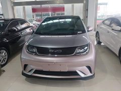 BYD Dolphin 401km Knight Edition - ფოტო 3