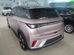 BYD Dolphin 401km Knight Edition - ფოტო 5