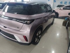 BYD Dolphin 401km Knight Edition - ფოტო 8
