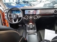 Tank 300 Off-Road Edition 2.0T Conqueror - ფოტო 10