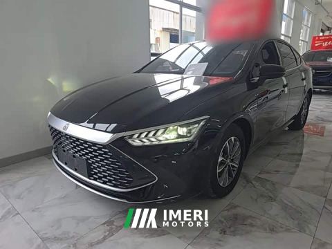 2024 BYD Qin PLUS Glory Edition DM-i 55KM Leading