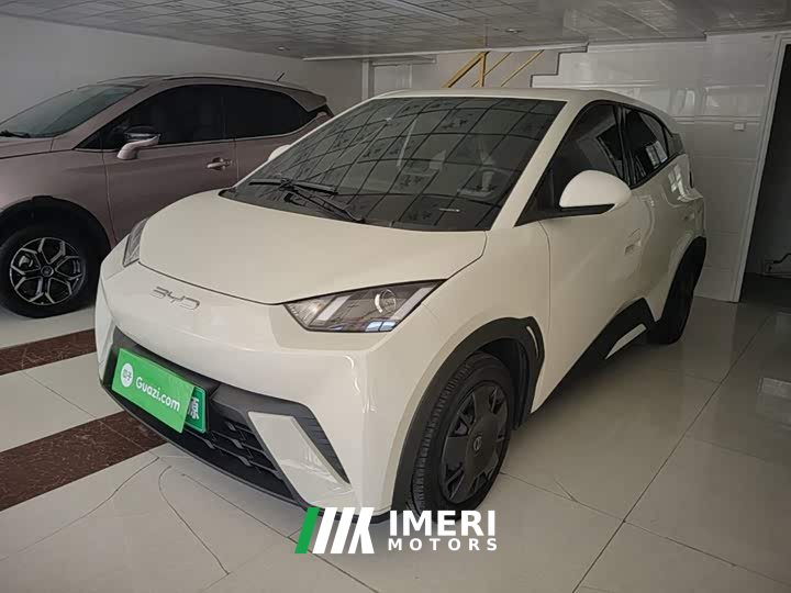 BYD Seagull 2023 Vitality Edition - ავტომობილი ჩინეთიდან