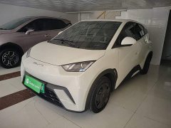 BYD Seagull 2023 Vitality Edition - ფოტო 1
