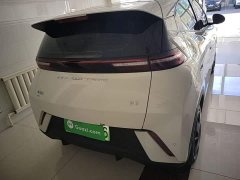 BYD Seagull 2023 Vitality Edition - ფოტო 6