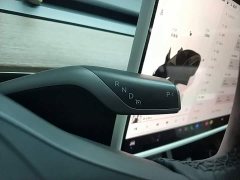 Tesla Model 3 2022 Rear-Wheel Drive - ფოტო 14