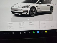 Tesla Model 3 Rear-Wheel Drive - ფოტო 12