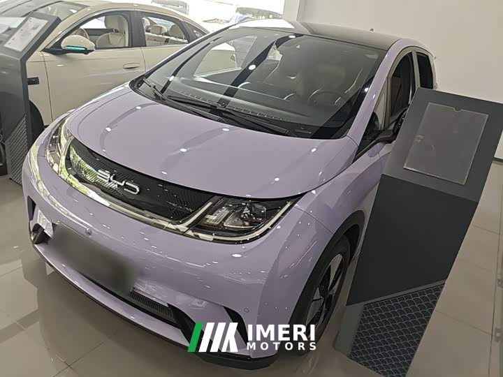 BYD Dolphin 420km Fashion Edition - ავტომობილი ჩინეთიდან