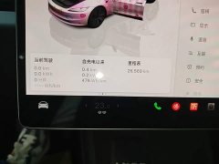 Tesla Model 3 2023 Rear-Wheel Drive - ფოტო 12