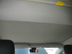 Tesla Model 3 2023 Rear-Wheel Drive - ფოტო 18